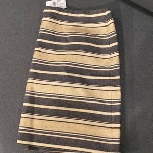 size 6 jcrew skirt with zipper in the back NWT